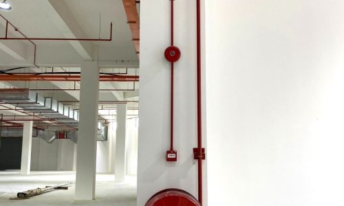 smtt-2
